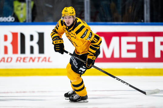 Skellefteås Oliver Okuliar