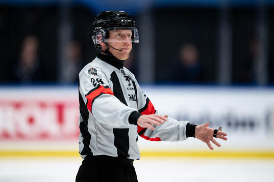 Domare Mikael Holm