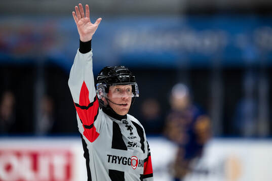Domare Mikael Holm