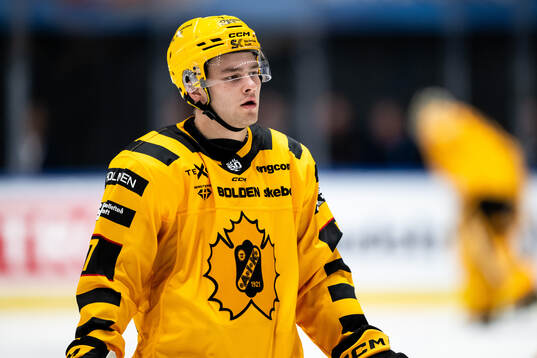 Skellefteås Frans Haara