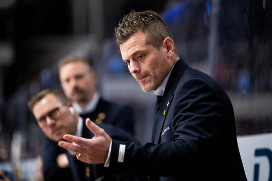 Skellefteås tränare Daniel Hermansson