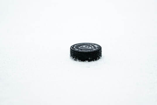 En puck med Djurgårdens logotyp på