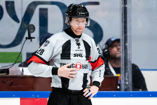 Domare Mikael Holm