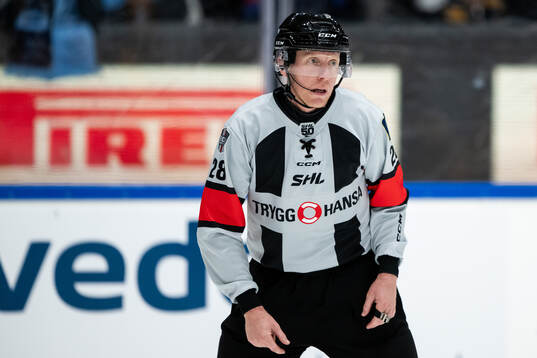 Domare Mikael Holm