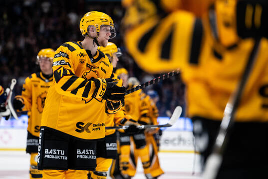 Skellefteås Jonathan Davidsson deppar