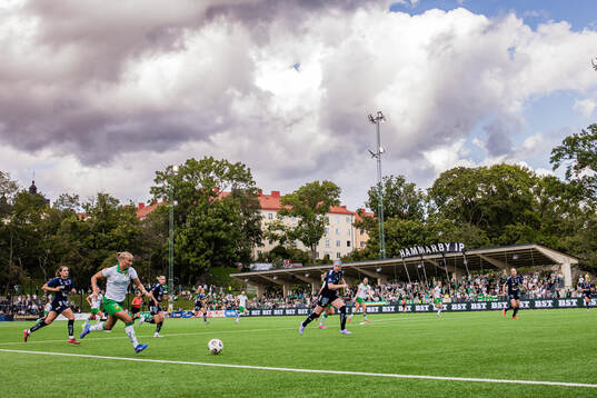 Hammarby IP
