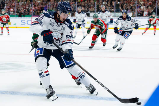 Linköpings David Bernhardt