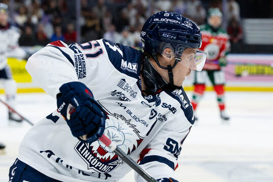 Linköpings Markus Ljungh