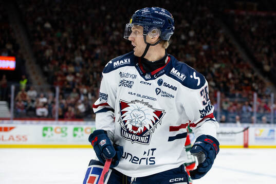 Linköpings Johan Södergran