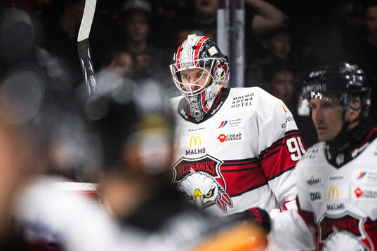 Malmö Redhawks målvakt Marek Langhamer deppar