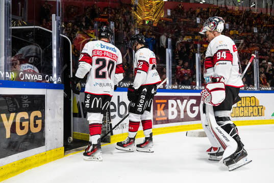 Malmö Redhawks målvakt Marek Langhamer och lagkamrater