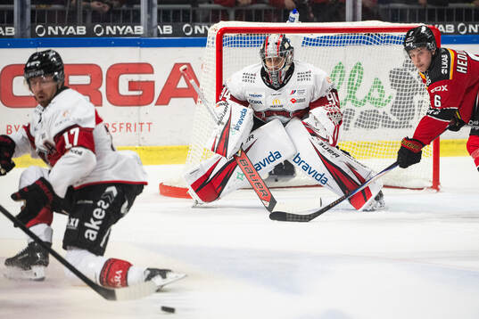 Malmö Redhawks målvakt Marek Langhamer