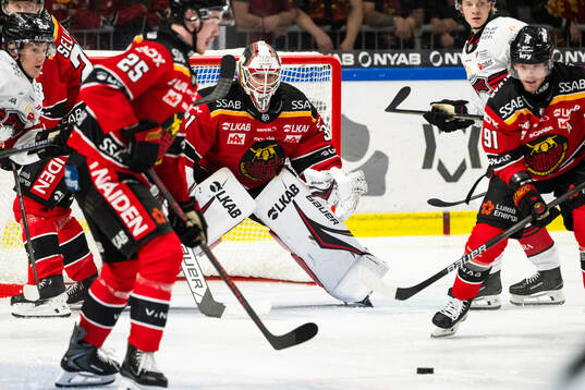 Luleås målvakt Matteus Ward