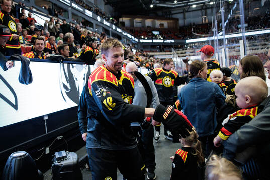 Brynäs Anton Rödin