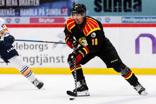 Brynäs Anton Rödin