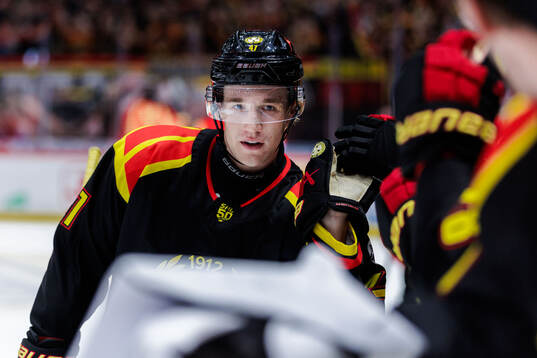 Brynäs Lucas Pettersson jublar