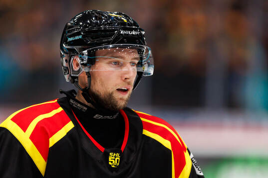 Brynäs Christian Djoos