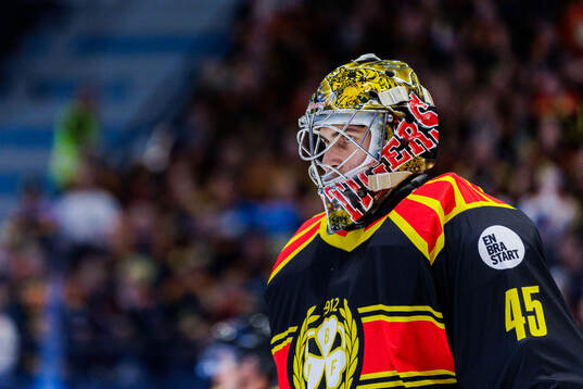 Brynäs målvakt Damian Clara