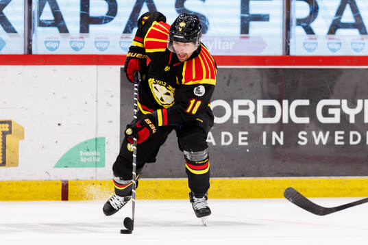 Brynäs Anton Rödin