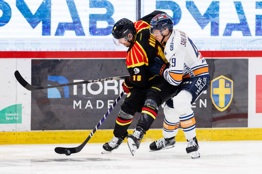 Brynäs Anton Rödin och Växjös Leo Sahlin Wallenius