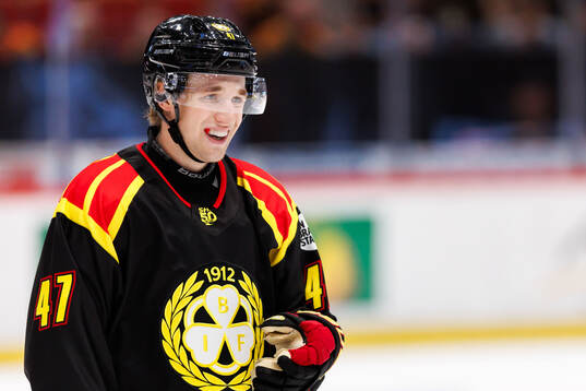 Brynäs Lucas Pettersson
