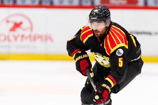 Brynäs Michal Kempny