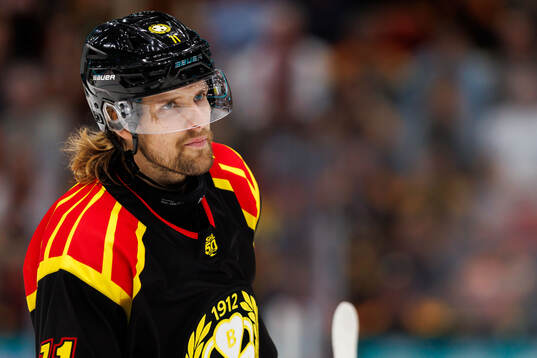 Brynäs Axel Jonsson-Fjällby