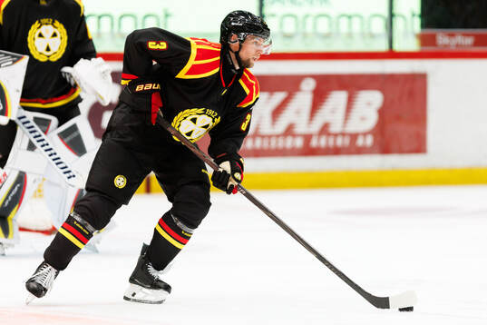 Brynäs Christian Djoos