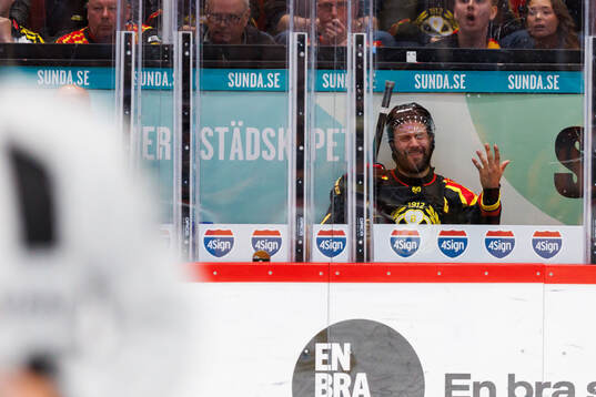 Brynäs Johan Larsson