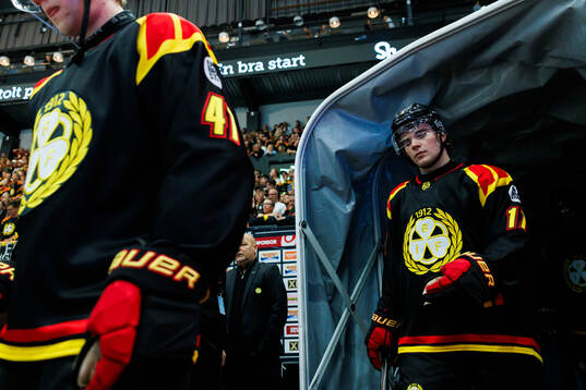 Brynäs Michal Svrcek