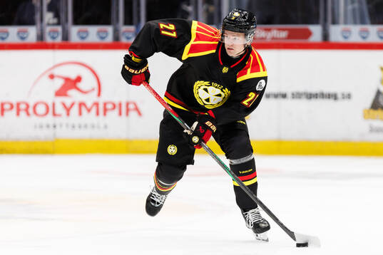 Brynäs Mattias Norlinder