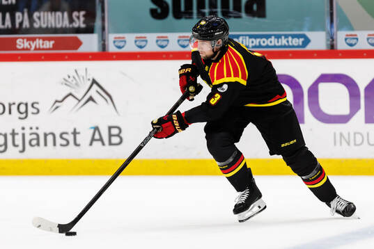 Brynäs Christian Djoos