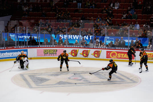Brynäs spelare