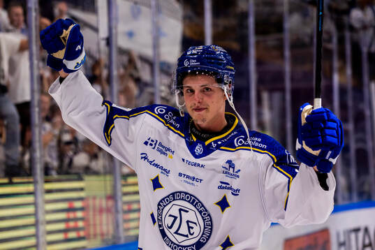 Leksands Anton Johansson utsedd till matchens krigare
