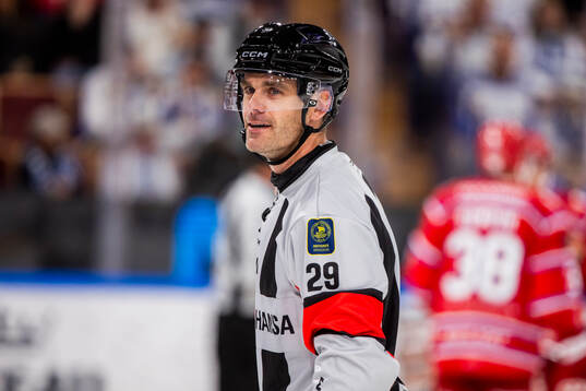 Domare Richard Magnusson