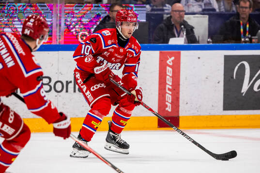 Timrås David Lilja