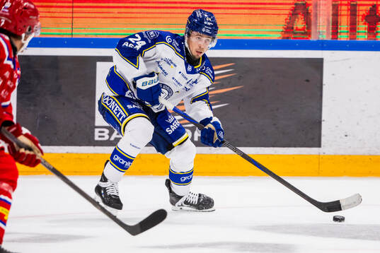 Leksands Arvid Eljas