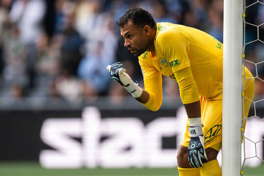 Hammarbys målvakt Warner Hahn