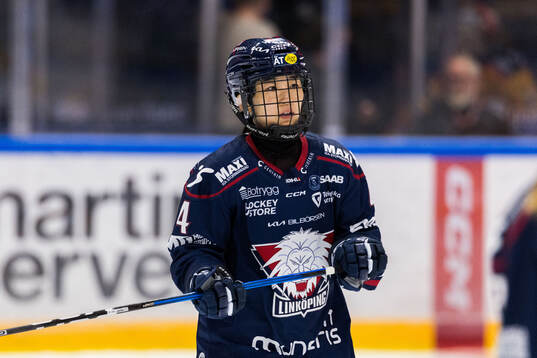 Linköpings Tako Hitosato