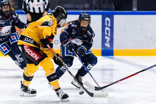Bläddra bland fler bilder av Ishockey, SDHL, Linköping - Luleå