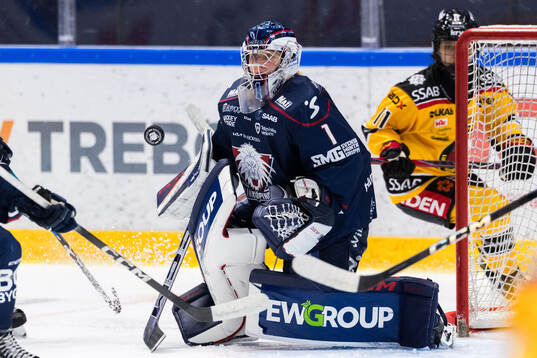 Linköpings målvakt Ebba Svensson Träff
