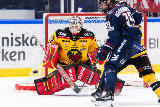 Luleås målvakt Sara Grahn