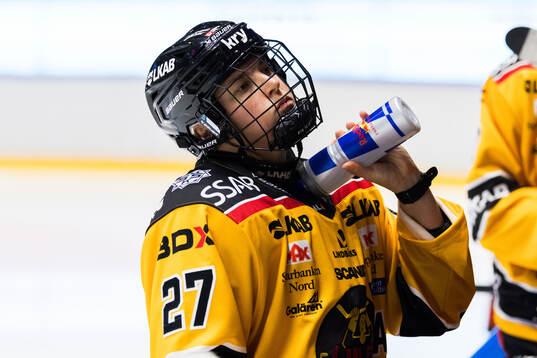 Luleås Jaycee Magwood