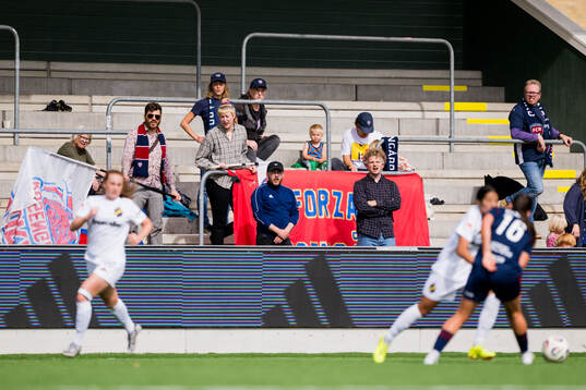 Rosengårds supportrar