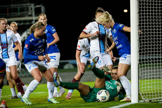 Trelleborgs målvakt Ebba Steen