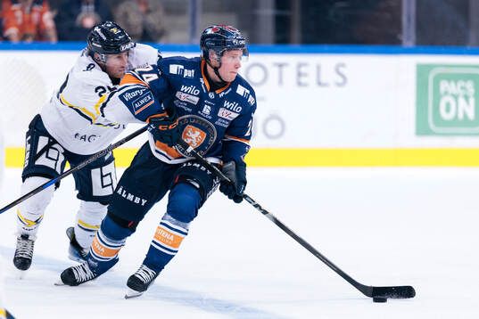 Bläddra bland fler bilder av Ishockey, SHL, Växjö - HV71