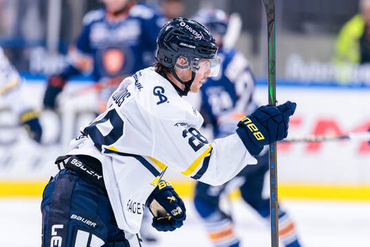 HV71s Justin Glenn Kloos jublar