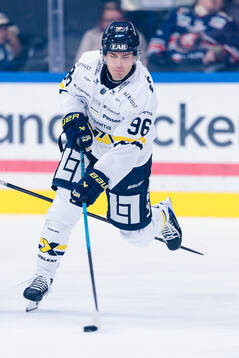 HV71s Nikola Pasic