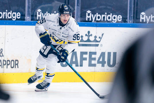 HV71s Nikola Pasic