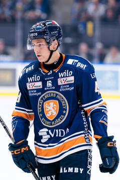 Växjös Leo Sahlin Wallenius